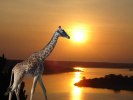 rwanda-parks