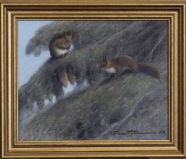 Rune I  Johansson olja
