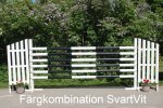 DSC_0033