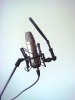 The Mic