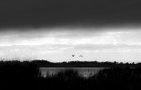 IMG_7474