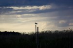IMG_7476