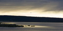 IMG_7521