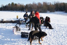 A fun day with our A-litter 120129