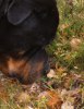 DSC04655