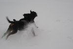 DSC05070
