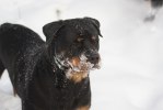 DSC05185
