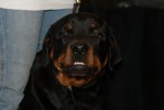 DSC05394