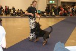 DSC05460