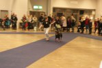 DSC05517