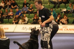Tony and Atlas in the groupfinal at My Dog 2011...