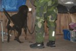 Nikita