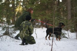 Patrol Dog training