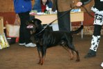 DSC07035