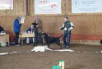 DSC07260