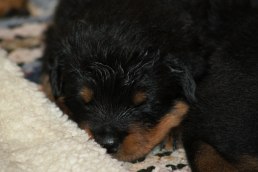 110513 I´m tired...