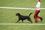 DSC09035