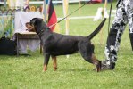 DSC09067