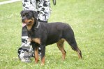 DSC09084