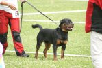DSC09141