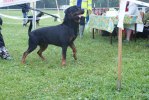DSC09494