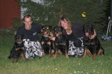 Familjen Berglund: Go Solid's Atlas Jr, Tony, Just Ask Whitney, Go Solid Cornelia, Lena & Go Solid Ceasar (ej på bild Just Ask Alex)