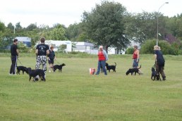 Puppy-class part I, 110813