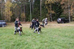 Puppy-class part VII, 111015