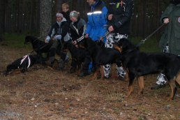 Skogsroligt 111204
