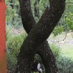 IMG_0604