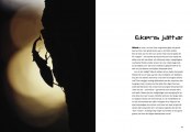 Ekens_jattar