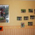 IMG_5131