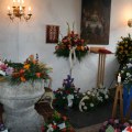 IMG_4761