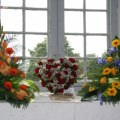IMG_4774