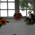 IMG_4782