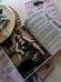 Pinup Perfection Magazine