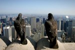 Manhattan NYC / View from Empire State Building