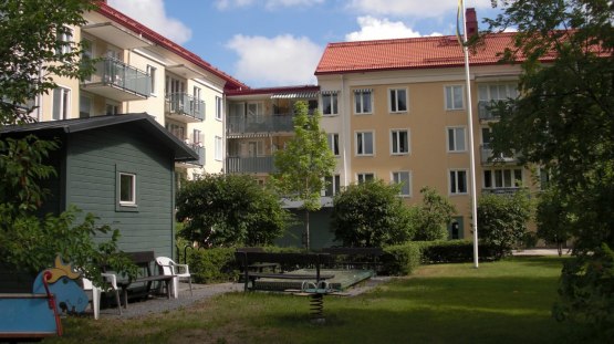 Vår fina trädgård!