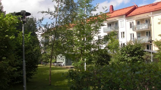 Trädgården!