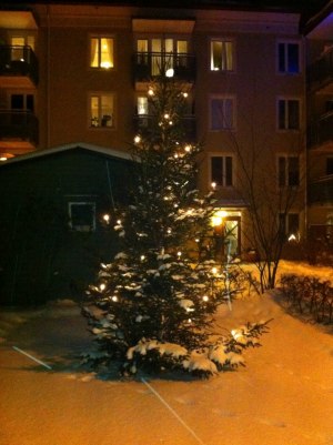 Så då var det vinter igen! 2010 års julgran.