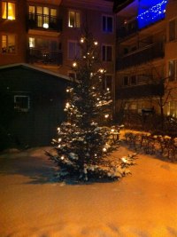 Välklädd julgran 2010!