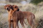 Quita & Cenna