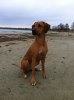 Enzi December 2011