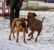Darky och Yeba