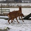 Darky och Yeba
