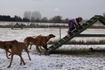 20120211 