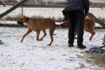 20120211 