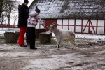 20120211 