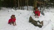 Vilja och Brunette