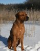 Jamba 6½ years old